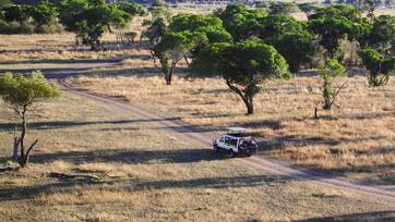 7 Days Arusha, Lake Manyara, Ngorongoro, Serengeti and Tarangire Safari