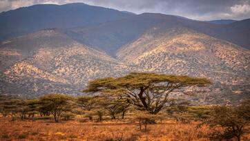 7 Days Tarangire, gorongoro, Lake Natron and Manyara Safari
