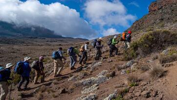 Mt Kilimanjaro Climb